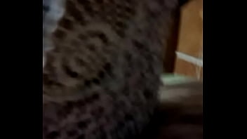 Trim 20160515 221051