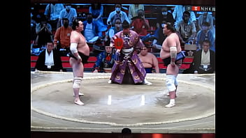 白鵬の八百長相撲　800万円