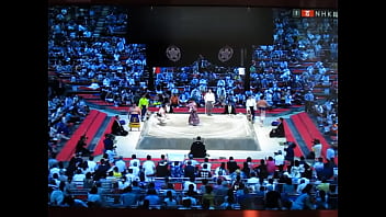 白鵬の八百長相撲　800万円