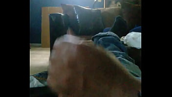 Wp 20150723 004 thumbnail