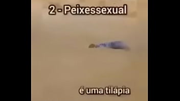 Shitpost compilation in spanish