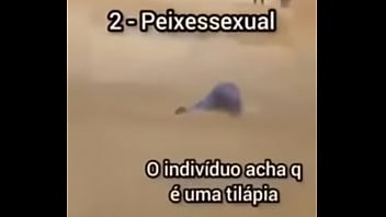 Shitpost compilation in spanish