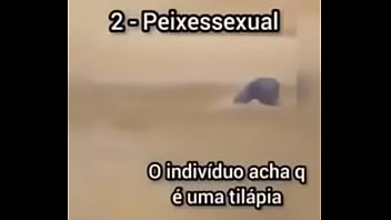 Shitpost compilation in spanish Shitpost compilation in spanish