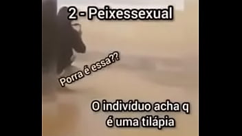 Shitpost compilation in spanish