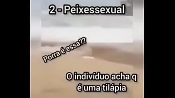 Shitpost compilation in spanish