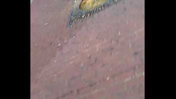 Quick shot of a phat ass