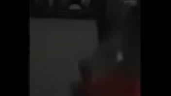 Perrita le gusta bailar en casa