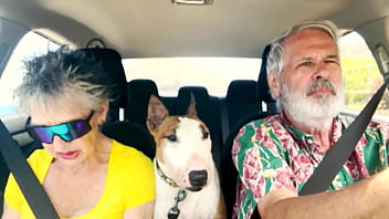 We Drive Around East Oahu While Chatting About Things Sexual thumbnail