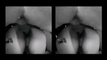 'gymo bunnies' presenta club público de putas️estudio de sexo hardcore para adultos