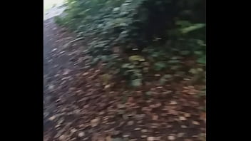 Public Wolk thumbnail