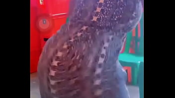 Video de vérification