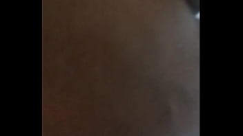 O dinossauro e a gatinha