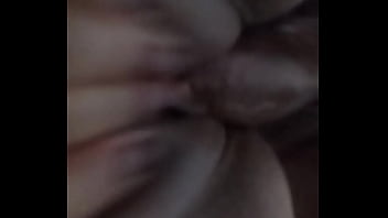 O dinossauro e a gatinha