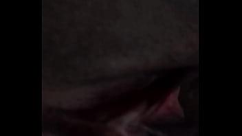 O dinossauro e a gatinha