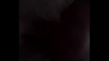 O dinossauro e a gatinha