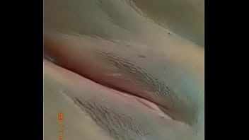 Vagina Vagina