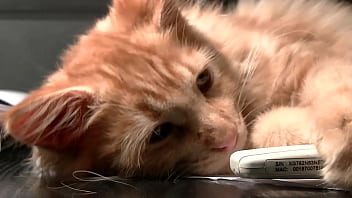 Testxv chat content #1 twerk2 mar 23 2023