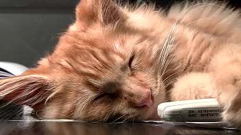 Testxv chat content #1 twerk2 mar 23 2023