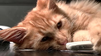 Testxv chat content #1 twerk2 mar 23 2023