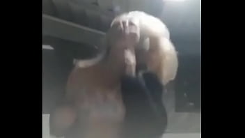 Stella Still Sp thumbnail