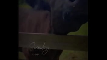 Starting to do more updates on my life through tiktok again go follow my birthday volunteering i did for these resc