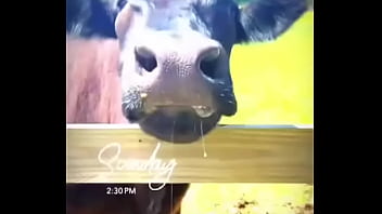 Starting to do more updates on my life through tiktok again go follow my birthday volunteering i did for these resc