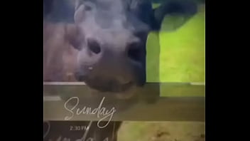 Starting to do more updates on my life through tiktok again go follow my birthday volunteering i did for these resc