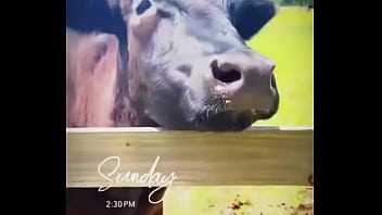 Starting to do more updates on my life through tiktok again go follow my birthday volunteering i did for these resc