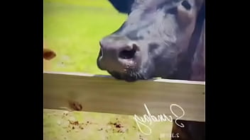 Starting to do more updates on my life through tiktok again go follow my birthday volunteering i did for these resc