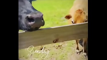 Starting to do more updates on my life through tiktok again go follow my birthday volunteering i did for these resc