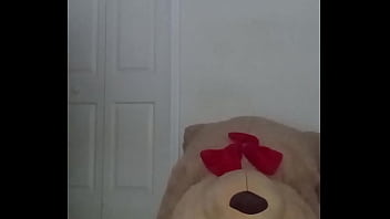 Taking turns stretching like my other scorpio zodiac animal from astrology a spider similar to stretching like a cancers zodiac animal a crab with toy bear 2