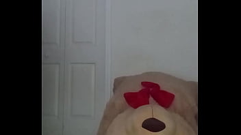 Taking turns stretching like my other scorpio zodiac animal from astrology a spider similar to stretching like a cancers zodiac animal a crab with toy bear 2