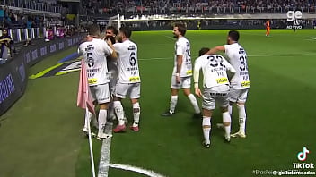 Vídeo de verificação