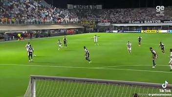 Vídeo de verificação