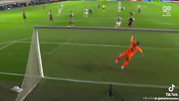 Vídeo de verificação