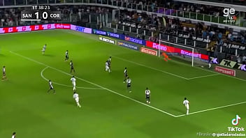 Vídeo de verificação