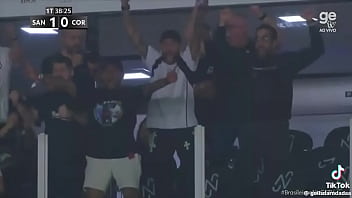 Vídeo de verificação