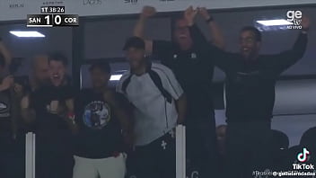 Vídeo de verificação