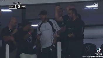 Vídeo de verificação