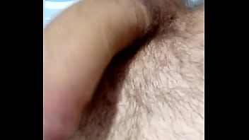 Cabeludo gato punheta de close