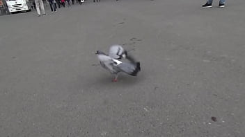 My uncensored vacation