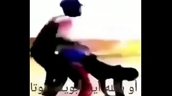 Just your everyday reddit