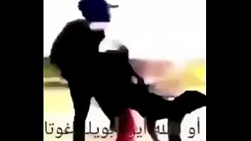 Just your everyday reddit