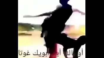 Just your everyday reddit