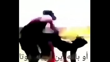 Just your everyday reddit