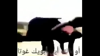 Just your everyday reddit