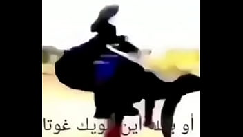 Just your everyday reddit