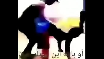 Just your everyday reddit