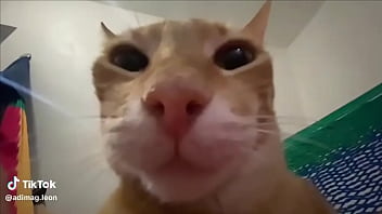 Ayuda a llegar a los 100 seguidores