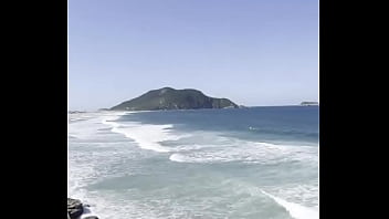 O que vocês acham do meu quintal